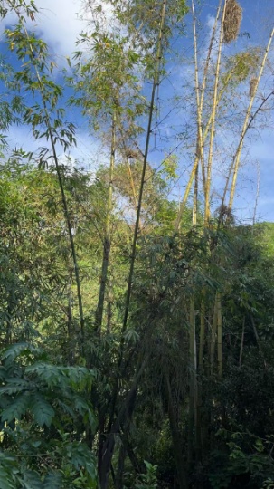 电力工程中级职称